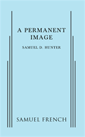 Permanent Image, A