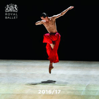 Royal Ballet Yearbook 2016/17